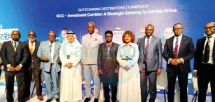 Coopération décentralisée transfrontalière: L’offensive de charme du Sud à Dubaï