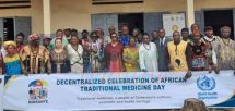 Research, Regulation, Universal Coverage:  Cameroon’s Roadmap For Traditional Medicine Innovation