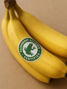 Regenerative Agriculture : Certified Bananas Now Account For 73% Of National Exports