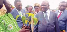 Minister Mbairobe saluted SOWEDA for their effort in boosting plantain plantlets.