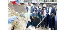 Hygiène et assainissement à Yaoundé: Brenda Biya au front Hygiène et assainissement à Yaoundé: Brenda Biya au front