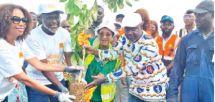 Journée mondiale de l’Environnement: Orange Cameroun en mode reboisement
