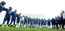 Cameroon : Eying Glory ! Cameroon : Eying Glory !