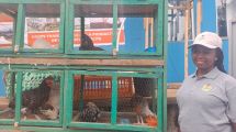 Écoparc Training Center merges luxury hospitality with exotic farming.