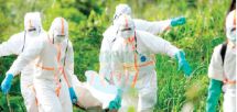 Ebola: Déjà 88 décès en RDC