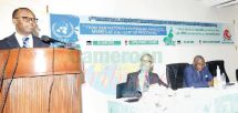 Industrialisation du Cameroun: Les petites entreprises, leviers majeurs