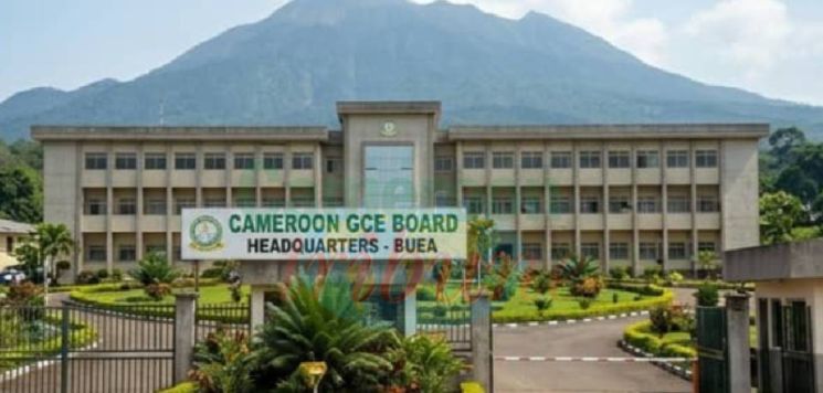 2026 GCE Results Released:  Global Pass Rate Drops To 67.88 Per cent