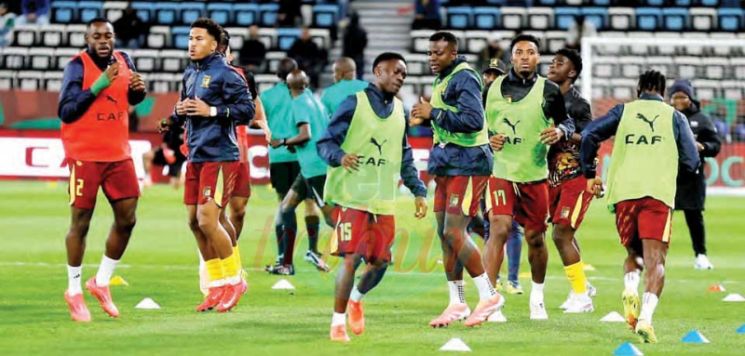 Maroc-Cameroun : une affaire de Lions