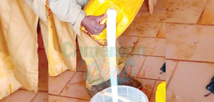 Production de lait: Une filière en pleine mutation