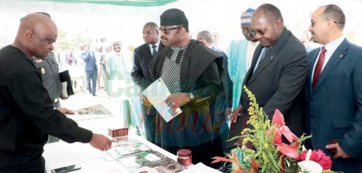 Cameroun – Organisation de la Coopération islamique : sous la lumière