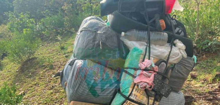 Lutte contre la contrebande, la contrefaçon : comment renforcer les actions sur le terrain