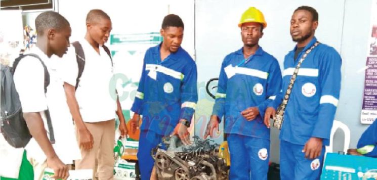 Nkongsamba: L’IA, piste d’emplois