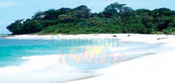 Equatorial Guinea-Gabon Border Dispute : UN Court Backs Malabo’s Ownership