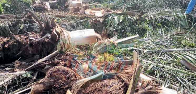 CDC : Another Land Encroachment