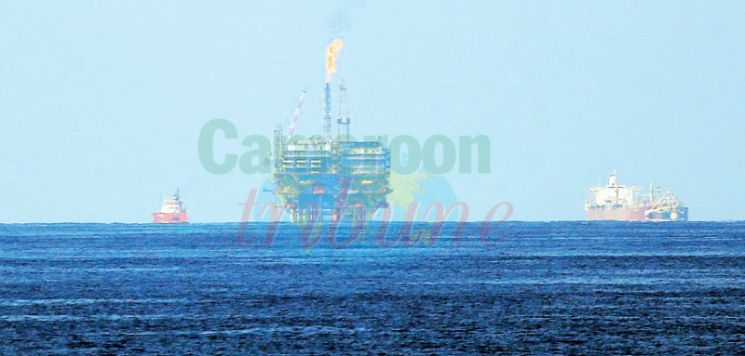 Egypte: Un gisement de gaz naturel découvert