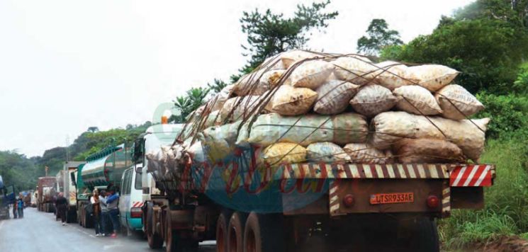 Distribution de produits de grande consommation : les activités se poursuivent