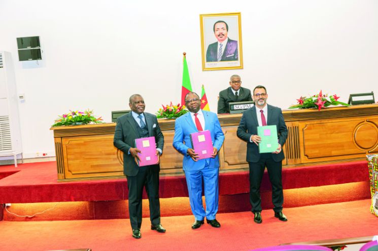 Production d’huile de palme brute : un nouvel acteur se positionne