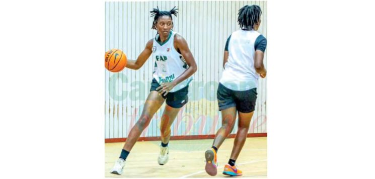 Women’s basketball league Africa: Place aux qualifications