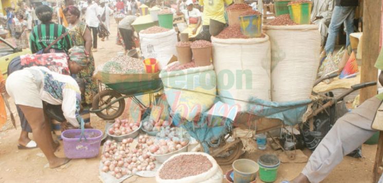Inflation en Afrique centrale: La baisse se poursuit