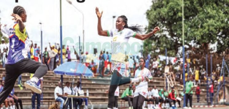 Championnat régional d’handballd’élite de handball: Fap sans égal