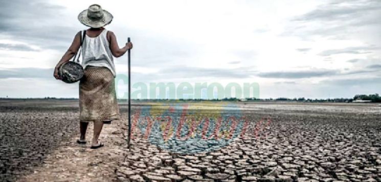 Changement climatique: Une urgence sanitaire mondiale