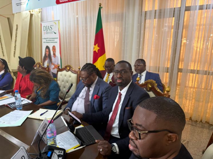 Leveraging the expertise of the Cameroonian diaspora and the Canada–Africa Chamber of Commerce network.