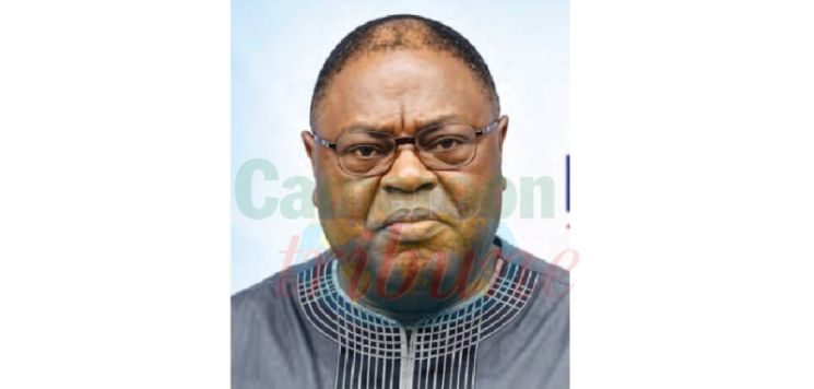 « Le Cameroun a les réserves, il lui manque l'usine »