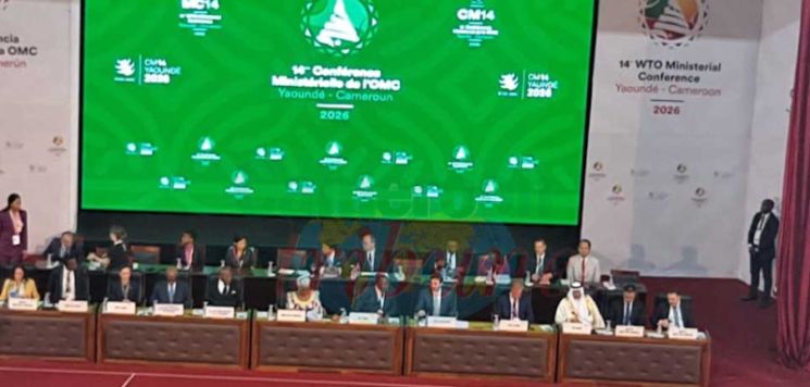 14th WTO Ministers' Conference: Everyone Is Now Seated