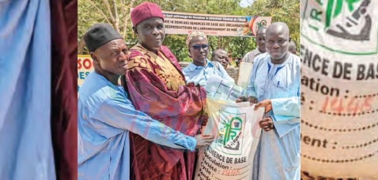 13 tonnes de semences distribuées