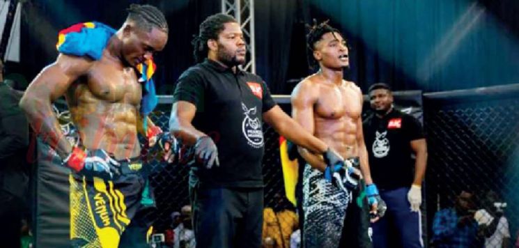 Private Initiatives: Strong Hands In Promoting MMA