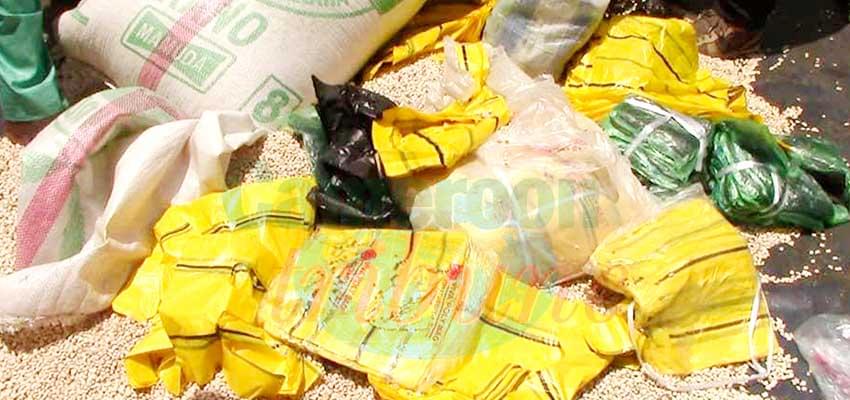 Emballages plastiques non biodégradables : 2,5 tonnes saisies à Ngaoundéré Emballages plastiques non biodégradables : 2,5 tonnes saisies à Ngaoundéré