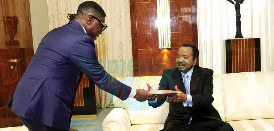 Cameroon-Equatorial Guinea: Common Strategies