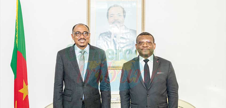 Creating An African Medicine Agency : Cameroon Praised For Pushing Agenda Creating An African Medicine Agency : Cameroon Praised For Pushing Agenda