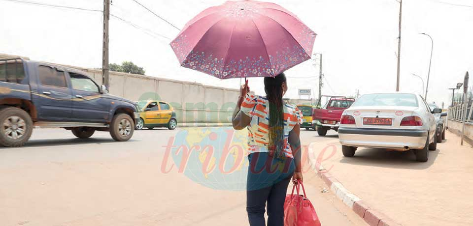 Climat : le thermomètre au rouge