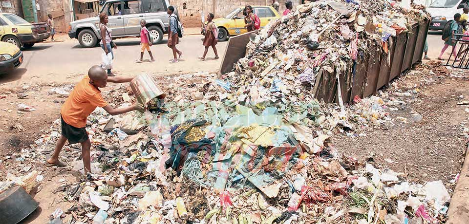 Ramassage d’ordures à Yaoundé : de nouveaux prestataires sollicités