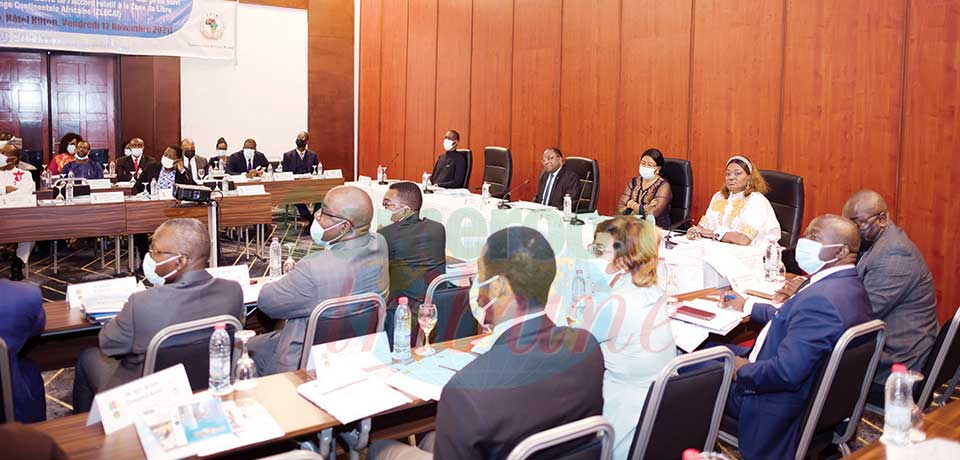 Zone de libre-échange continentale: Un pas de plus pour le Cameroun Zone de libre-échange continentale: Un pas de plus pour le Cameroun