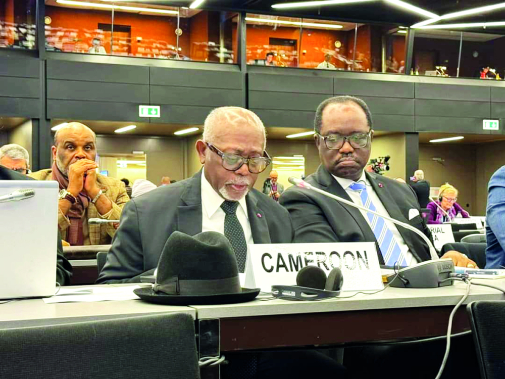 Cameroon took part in deliberations and made pertinent inputs.
