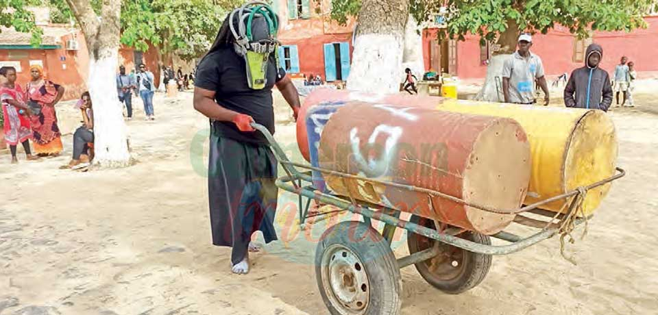 Arts plastiques : les Camerounais du Dak’Art Arts plastiques : les Camerounais du Dak’Art