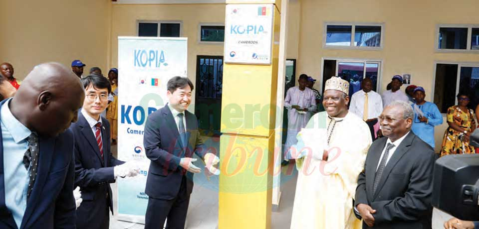 Semences à haut rendement: Le Cameroun tient son centre Semences à haut rendement: Le Cameroun tient son centre