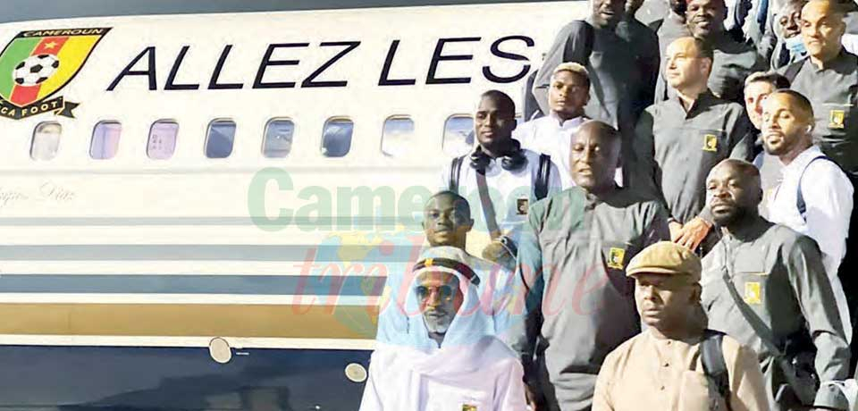 Lions indomptables : retour au bercail