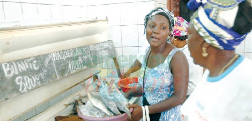 Poissons, tomates, oignons…: Ces produits oubliés des promos
