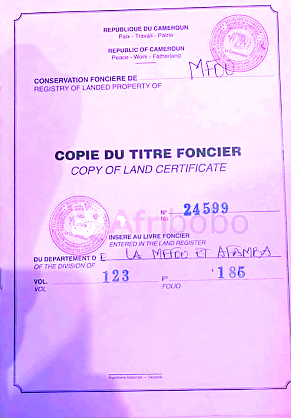 Terrains mis en valeur avant et après 1974 : la procédure d’immatriculation est encore floue Terrains mis en valeur avant et après 1974 : la procédure d’immatriculation est encore floue