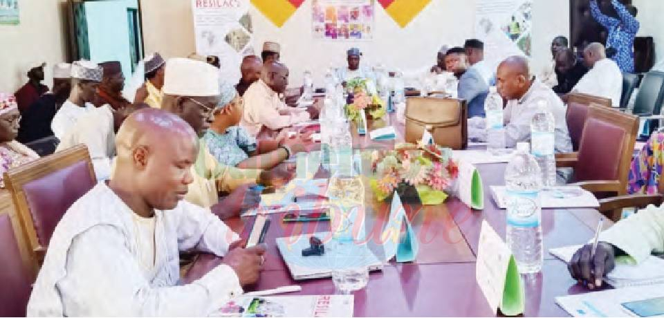 Post Author Avatar
