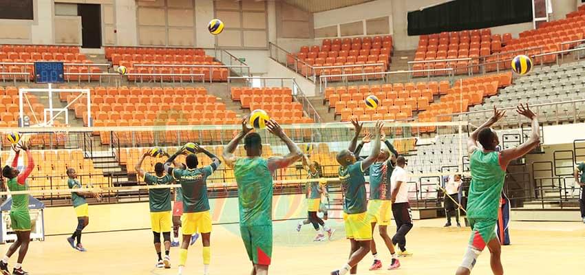 Volley-ball Messieurs : les Lions en route pour Bari