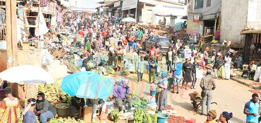 Douala : opération dépistage massif