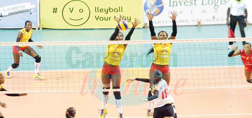 Championnat d'Afrique de volleyball féminin: le programme de préparation connu