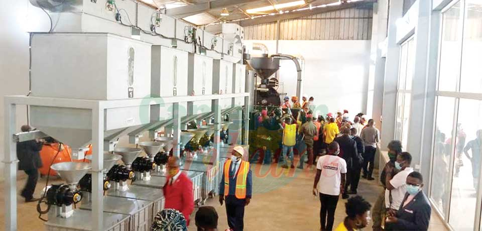 Coffee Processing : Productive Plant Commissioned For NW