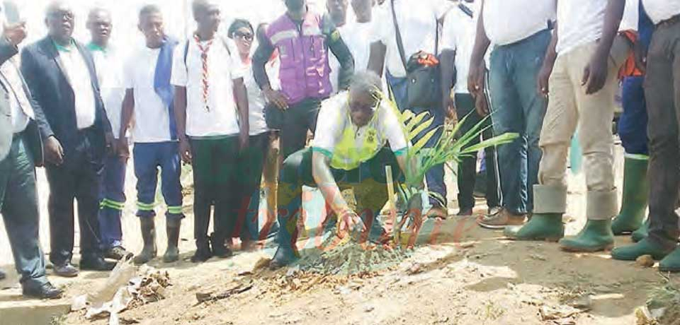 Journée mondiale de l’environnement : 350 arbres plantés à Douala III