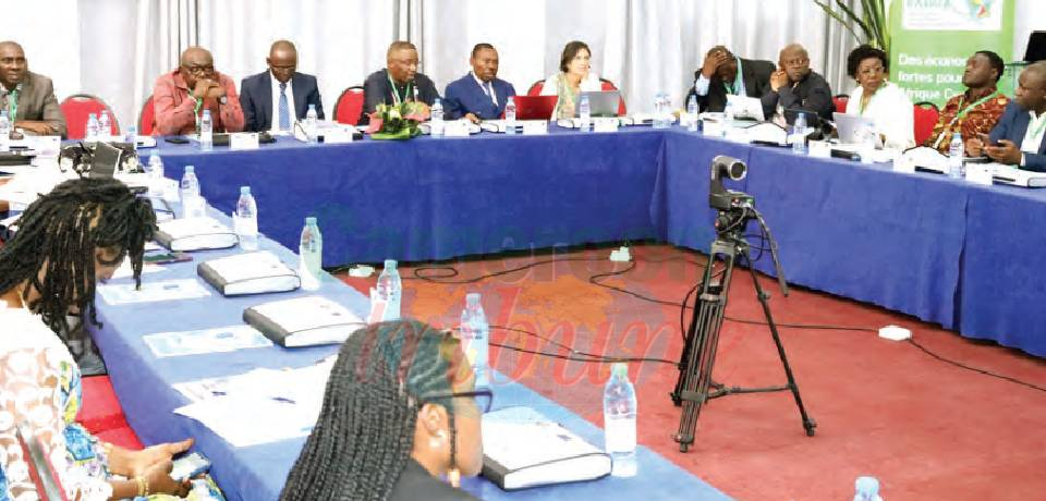 Agro-alimentaire d’Afrique centrale: A la conquête du marché européen