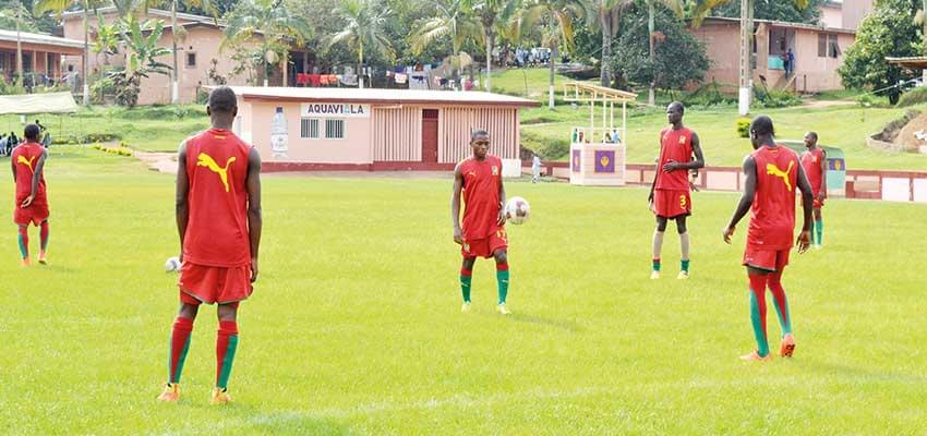 The Cadet Lions need to improve their performance. The Cadet Lions need to improve their performance.